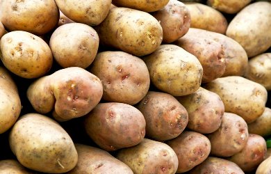 Ziemniaki bez poprawy, za to znów z większą presją