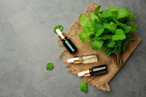 Marokańskie szczypiorki zaczynają być postrzegane jako alternatywa na rynkach europejskich.
