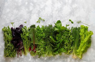 Palm Ventures kupuje dostawcę mikrozioła i startup technologiczny AeroFarms.