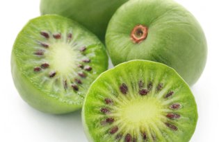 Zespri przyjmuje z zadowoleniem plan finansowania rozbudowy portu.