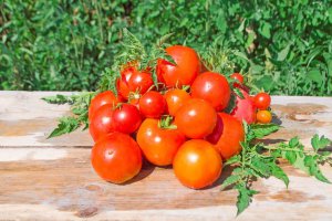 Datterini Valfrutta Fresco, nowe opakowanie inspirowane znakami zodiaku.