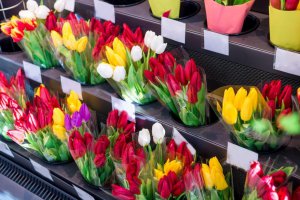 Grecja: Plantatorzy z Santorini dostarczają produkty do 120 restauracji na wyspie.