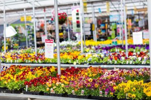 Zmieniając narrację poprzez otwarcie drzwi dla publiczności