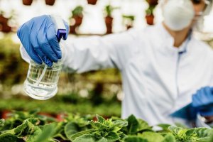 Dzień Hodowcy Vision Zero podkreśla innowacje biologiczne i zarządzanie odpornością.