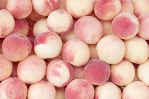 Tureccy producenci owoców pestkowych ostrożnie optymistyczni co do sezonu 2026 po ubiegłorocznych katastrofalnych przymrozkach.