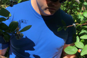 Zniechęcające ceny dla eksporterów marokańskich borówek.