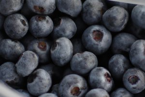 Upadek cen borówki w Chinach: pierwsze poważne ostrzeżenie dla globalnego boomu na jagody