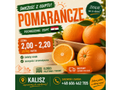 Dzień dobry,