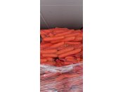 Sprzedam marchew myta, kaliber 2-4, worek
