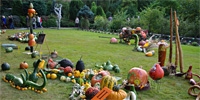 Dolnośląski Festiwal Dyni