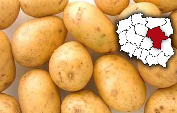 Są już polskie młode ziemniaki - Fresh-market.pl