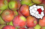 Zróżnicowane ceny