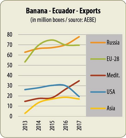 eksport bananow ewador