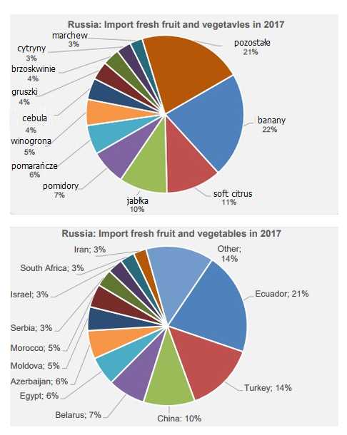import_owocow_i_warzyw_do_Rosji_2017