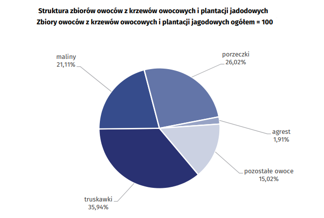 produkcja owocow jagodowych w 2017 roku gus