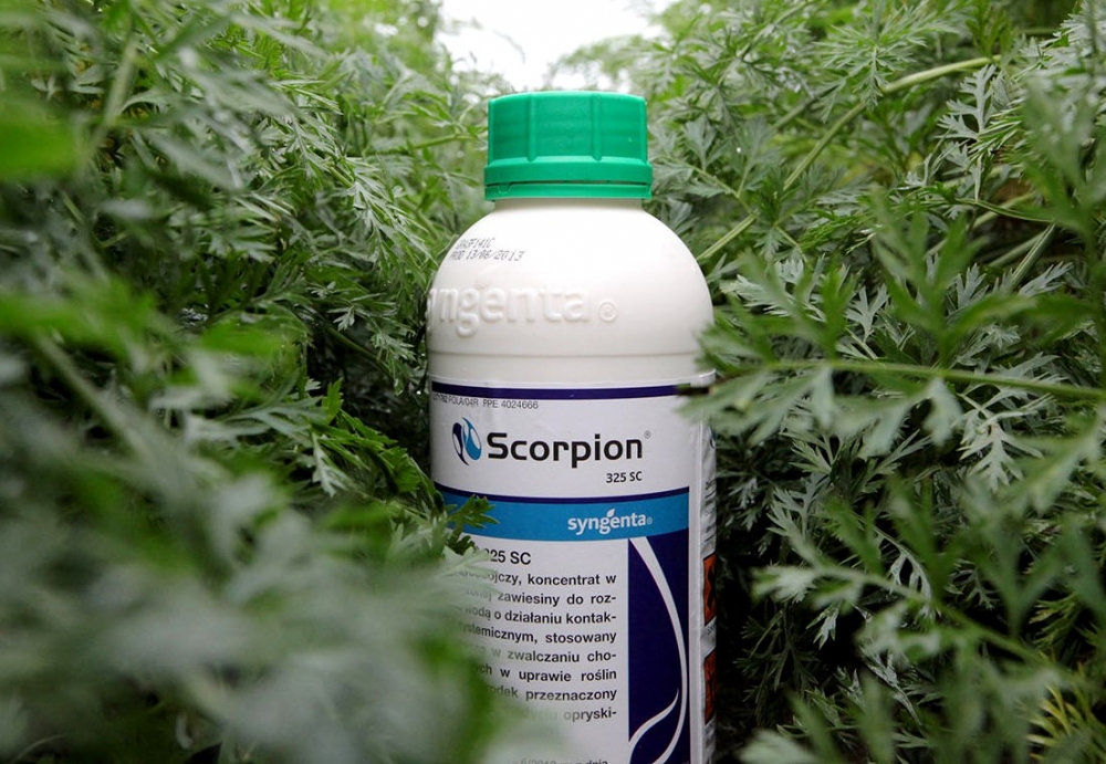 Scorpion – rozszerzona rejestracja fungicydu - Fresh-market.pl