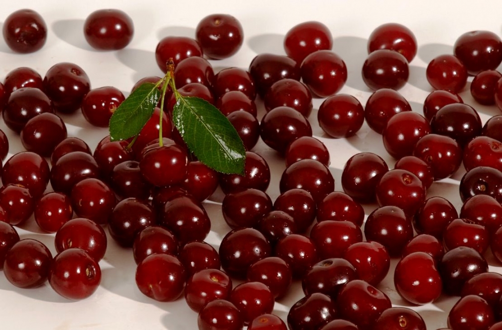 группа сортов вишни 7 букв сканворд. сканворд. кроссворд рыба кулинария. группа сортов вишни 7 букв сканворд. вишня молдаванка.