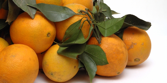 grapefruit in spanish grapefruit in spanish