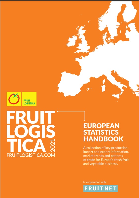 EUROPEAN STATISTICS HANDBOOK