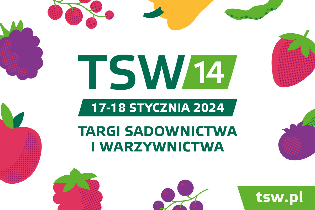 TSW 2024