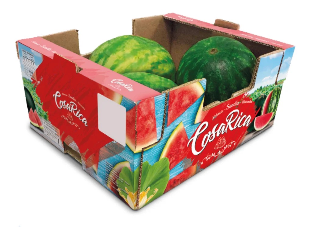 melon