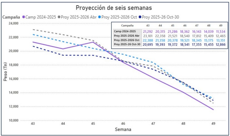 wykres 2